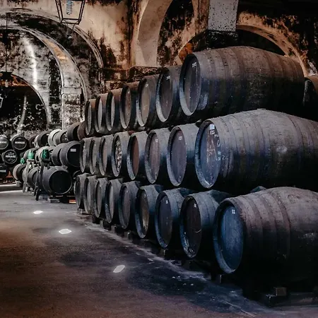 Loft Sherry *